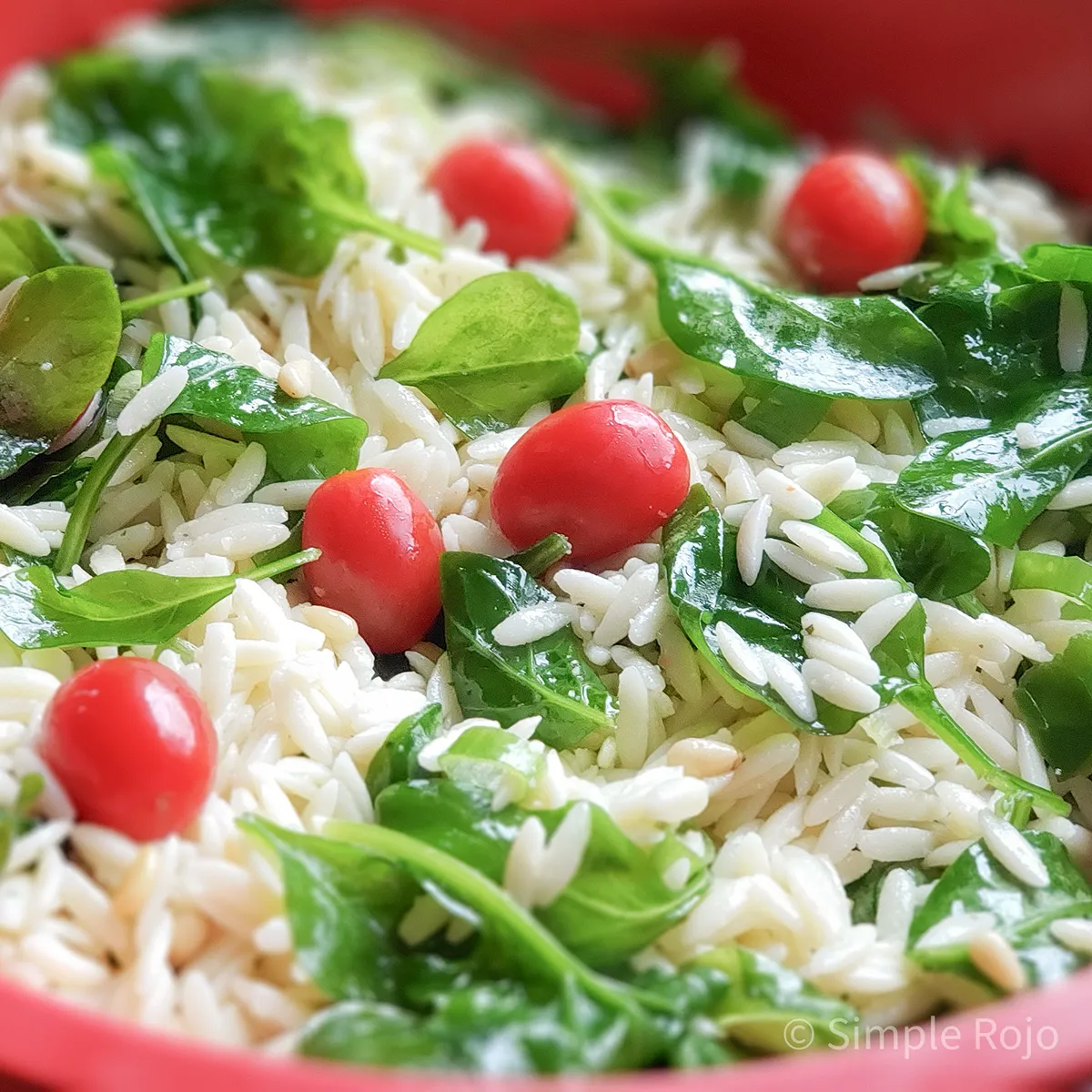 Ensalada de orzo con espinaca y tomates frescos